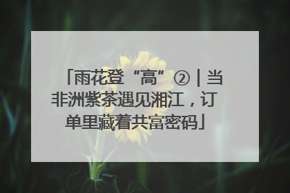 雨花登“高”②｜当非洲紫茶遇见湘江，订单里藏着共富密码