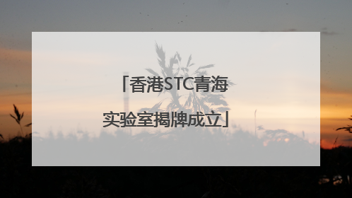 香港STC青海实验室揭牌成立