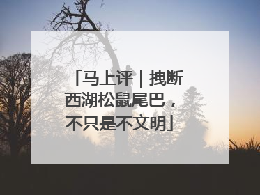 马上评｜拽断西湖松鼠尾巴，不只是不文明