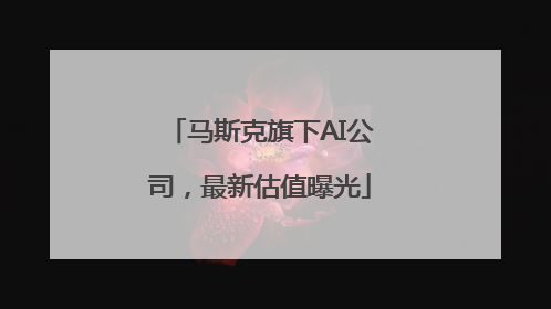 马斯克旗下AI公司，最新估值曝光