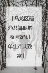 马龙区稻渔共舞促增收 稻渔订单生产共致富