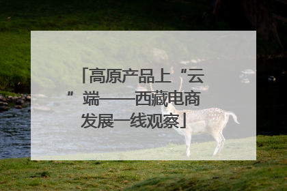 高原产品上“云”端——西藏电商发展一线观察
