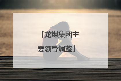 龙煤集团主要领导调整
