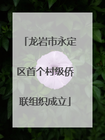 龙岩市永定区首个村级侨联组织成立