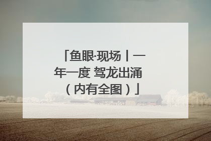 鱼眼·现场丨一年一度 驾龙出涌（内有全图）