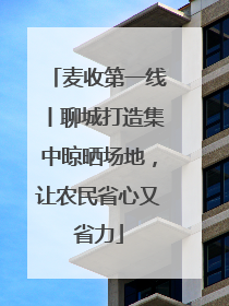 麦收第一线丨聊城打造集中晾晒场地，让农民省心又省力