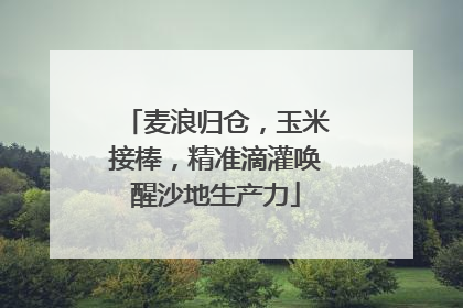 麦浪归仓，玉米接棒，精准滴灌唤醒沙地生产力