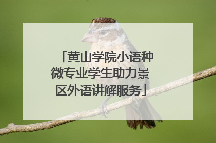 黄山学院小语种微专业学生助力景区外语讲解服务