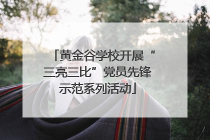 黄金谷学校开展“三亮三比”党员先锋示范系列活动