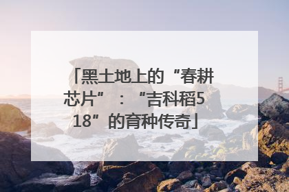 黑土地上的“春耕芯片”：“吉科稻518”的育种传奇