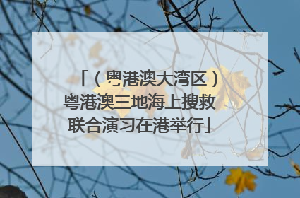 （粤港澳大湾区）粤港澳三地海上搜救联合演习在港举行
