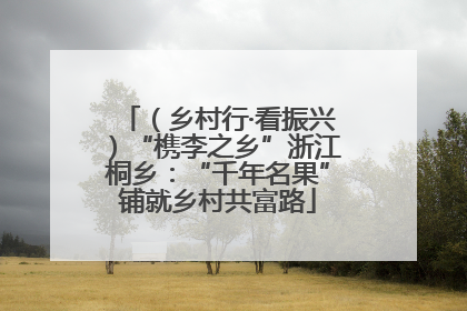 （乡村行·看振兴）“槜李之乡”浙江桐乡：“千年名果”铺就乡村共富路