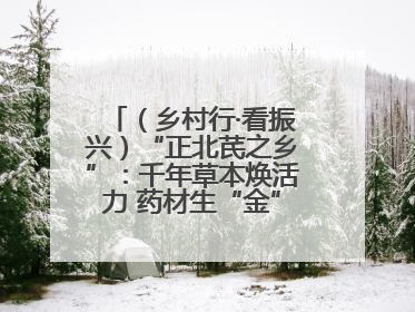 （乡村行·看振兴）“正北芪之乡”：千年草本焕活力 药材生“金”富农家