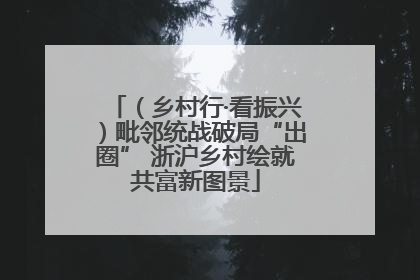 （乡村行·看振兴）毗邻统战破局“出圈” 浙沪乡村绘就共富新图景