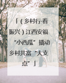 （乡村行·看振兴）江西安福“小西瓜”撬动乡村共富“大支点”