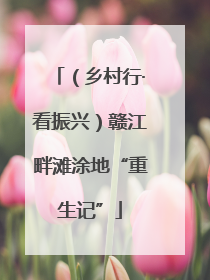 （乡村行·看振兴）赣江畔滩涂地“重生记”