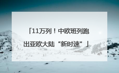 11万列！中欧班列跑出亚欧大陆“新时速”