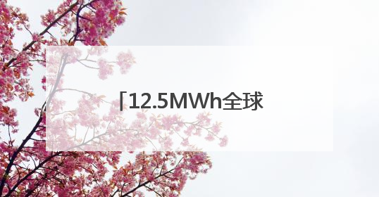 12.5MWh全球最大容量储能系统发布 合肥一季度储能系统同比增长425%