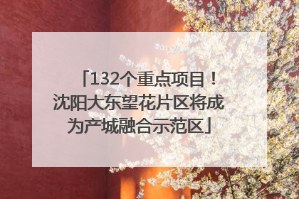 132个重点项目!沈阳大东望花片区将成为产城融合示范区