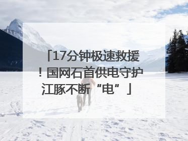 17分钟极速救援！国网石首供电守护江豚不断“电”