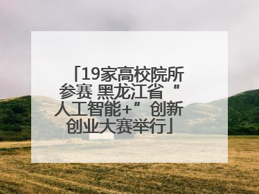 19家高校院所参赛 黑龙江省“人工智能+”创新创业大赛举行