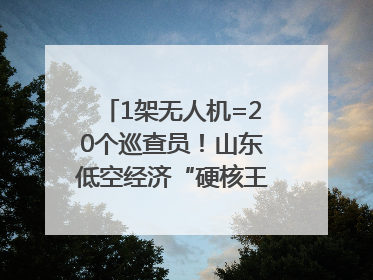 1架无人机=20个巡查员！山东低空经济“硬核王炸”亮相青岛，下一个万亿赛道藏在这里