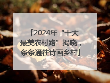 2024年“十大最美农村路”揭晓，条条通往诗画乡村