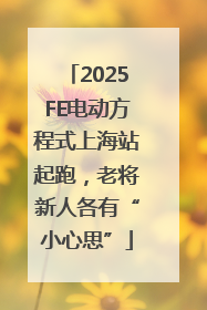 2025FE电动方程式上海站起跑，老将新人各有“小心思”