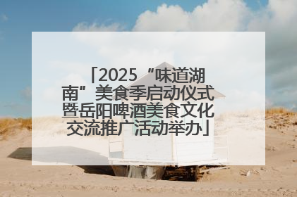 2025“味道湖南”美食季启动仪式暨岳阳啤酒美食文化交流推广活动举办