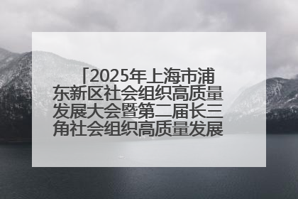 2025年上海市浦东新区社会组织高质量发展大会暨第二届长三角社会组织高质量发展峰会成功举办