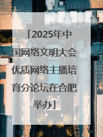 2025年中国网络文明大会优质网络主播培育分论坛在合肥举办