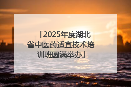 2025年度湖北省中医药适宜技术培训班圆满举办