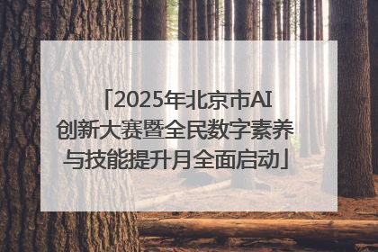 2025年北京市AI创新大赛暨全民数字素养与技能提升月全面启动