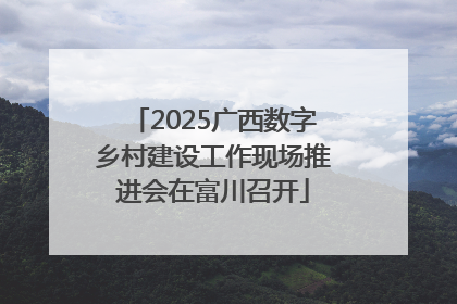 2025广西数字乡村建设工作现场推进会在富川召开