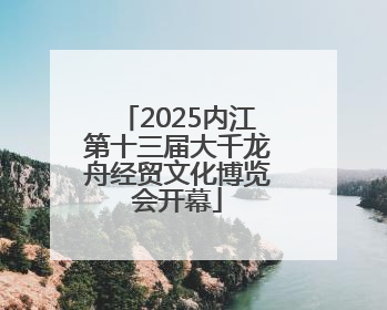 2025内江第十三届大千龙舟经贸文化博览会开幕