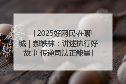 2025好网民·在聊城｜郝轶林：讲述执行好故事 传递司法正能量