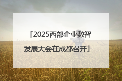 2025西部企业数智发展大会在成都召开