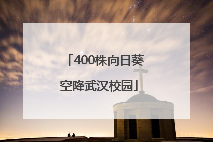 400株向日葵空降武汉校园