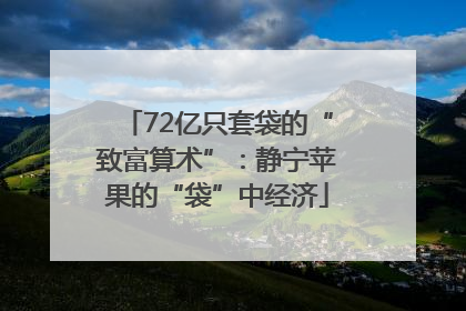 72亿只套袋的“致富算术”：静宁苹果的“袋”中经济