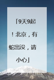 9天9起！北京，有蛇出没，请小心