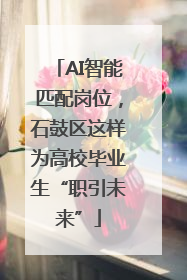 AI智能匹配岗位，石鼓区这样为高校毕业生“职引未来”