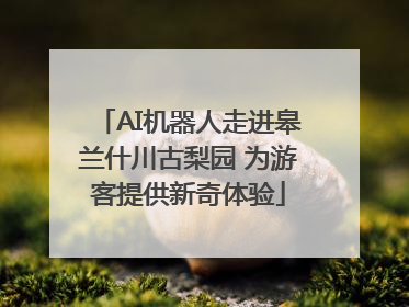 AI机器人走进皋兰什川古梨园 为游客提供新奇体验