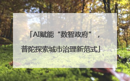 AI赋能“数智政府”，普陀探索城市治理新范式