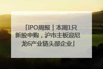 IPO周报｜本周1只新股申购，沪市主板迎尼龙6产业链头部企业