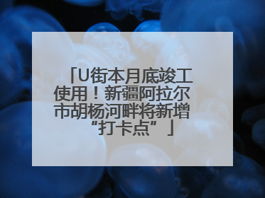 U街本月底竣工使用！新疆阿拉尔市胡杨河畔将新增“打卡点”